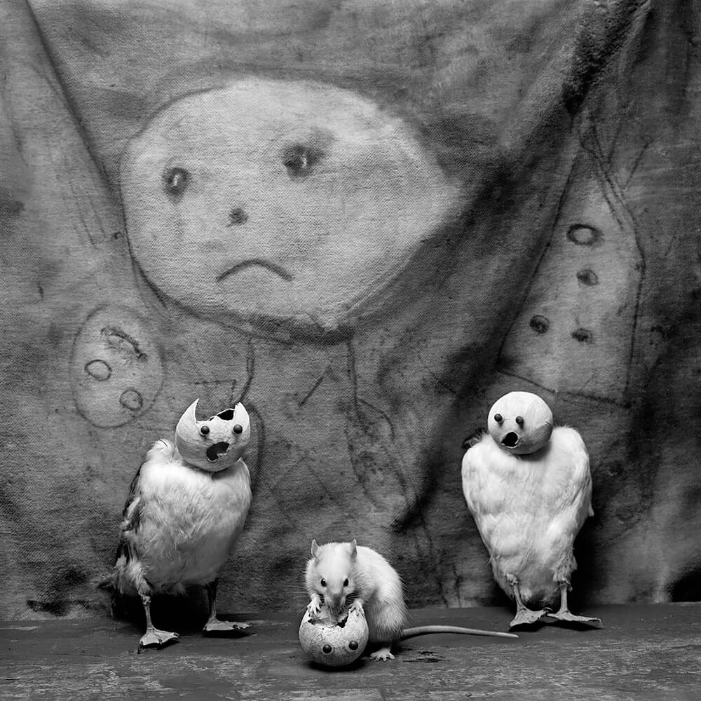 Devour, 2013<p>© Roger Ballen</p>