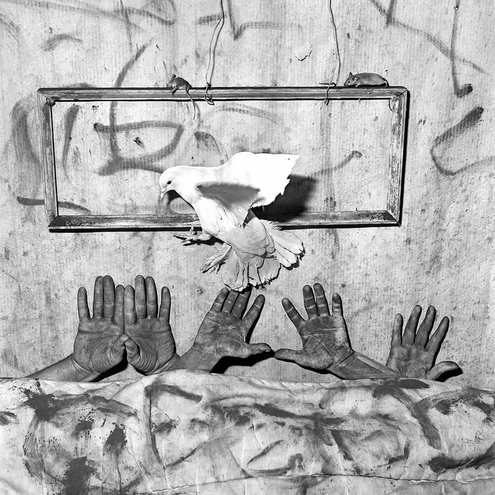 Five Hands 2006<p>© Roger Ballen</p>