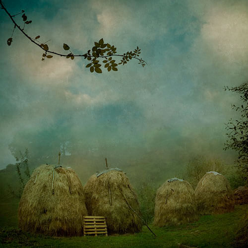 <p>© Rosa Basurto</p>