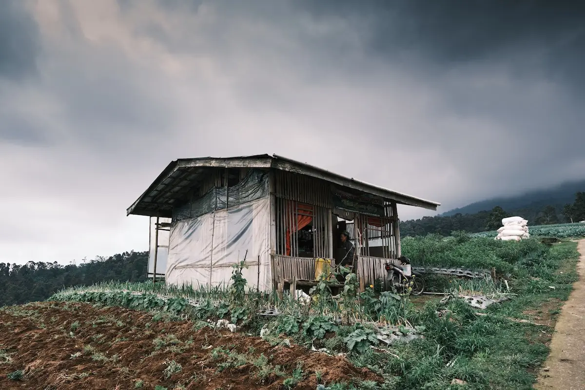 <p>&copy; Stefano  Battistelli</p>