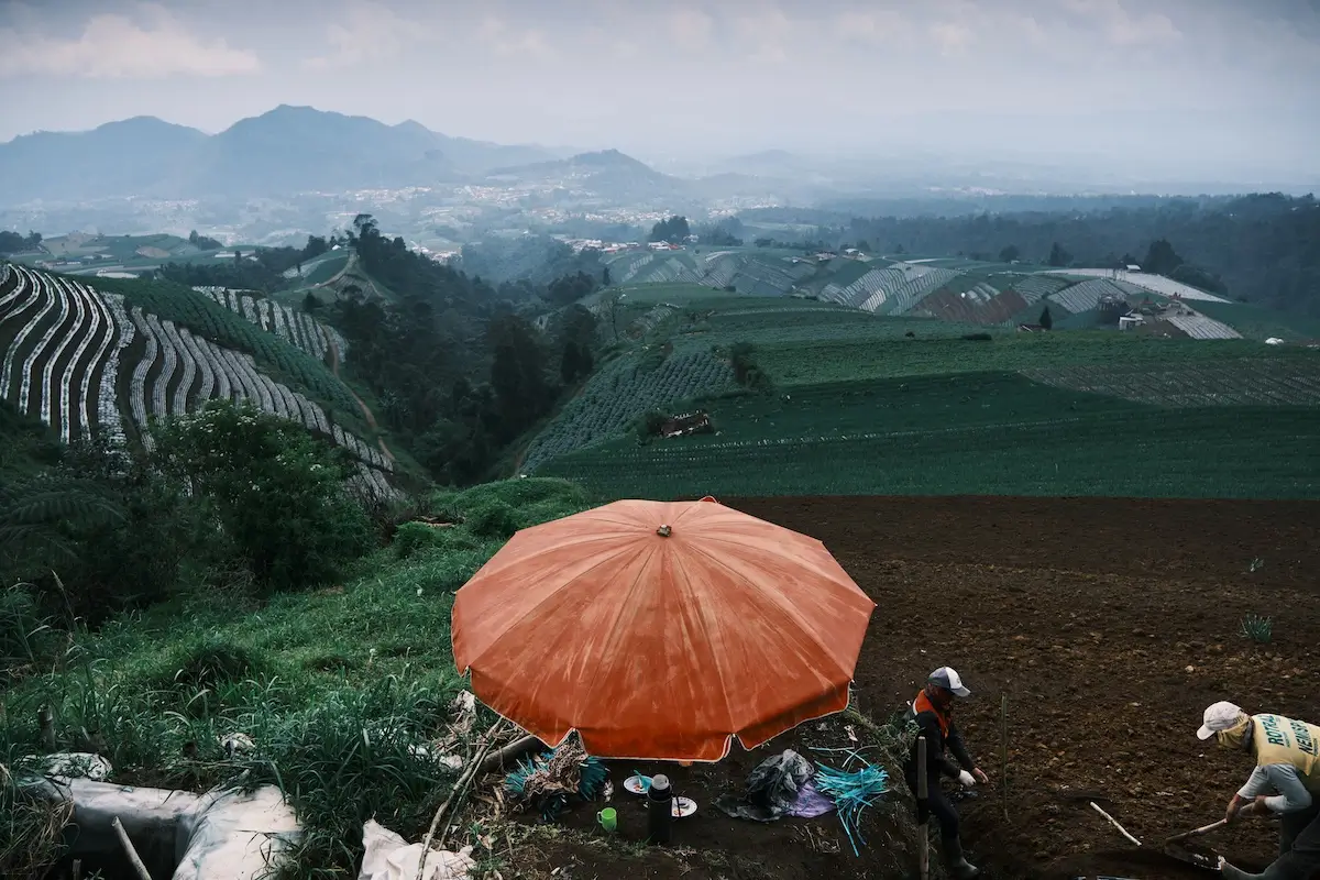 <p>&copy; Stefano  Battistelli</p>