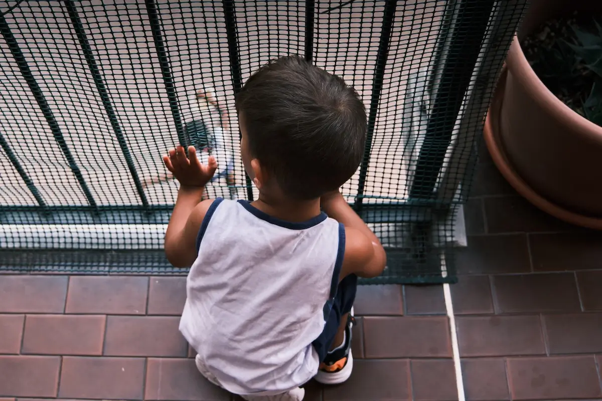 <p>&copy; Stefano  Battistelli</p>