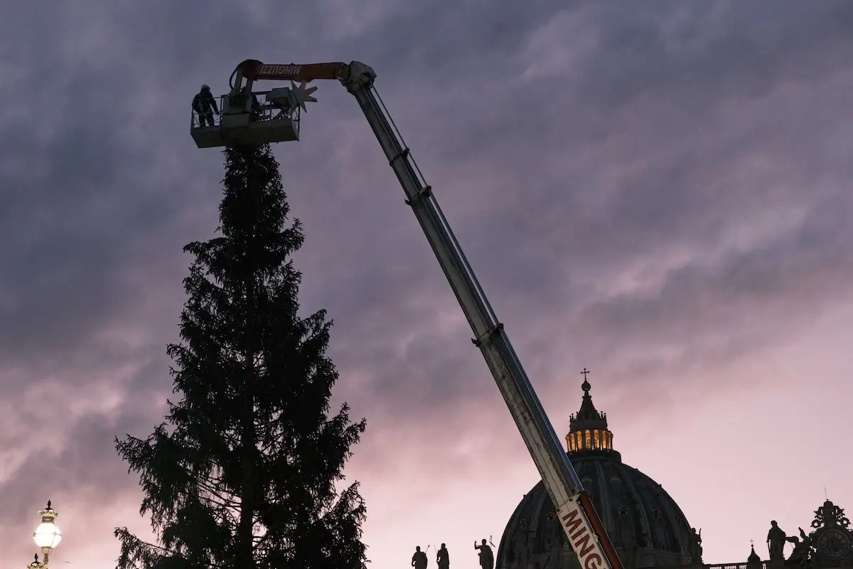 <p>&copy; Stefano  Battistelli</p>