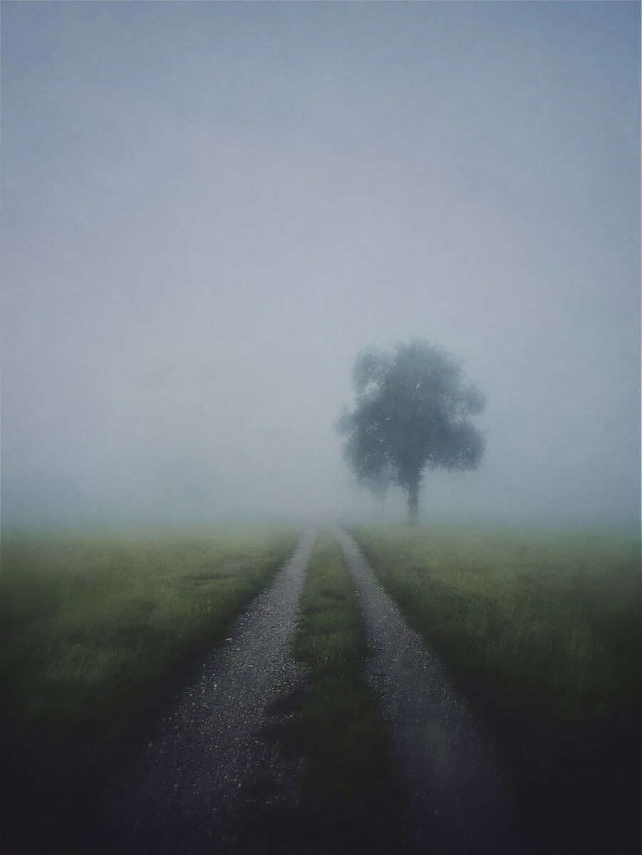 Long Lonely Road<p>© Thaddäus Biberauer</p>