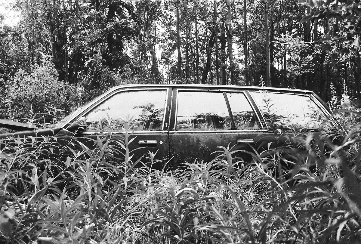 Annie Lake Road, Dias Tras Dias, Yukon, Canada 2024<p>&copy; Thibault Belouis</p>