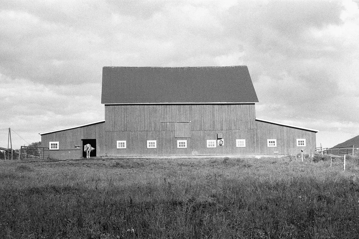 Silence On The Wall, Dias Tras Dias, Mansonville, Canada 2024<p>&copy; Thibault Belouis</p>