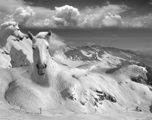 <p>© Thomas Barbèy</p>