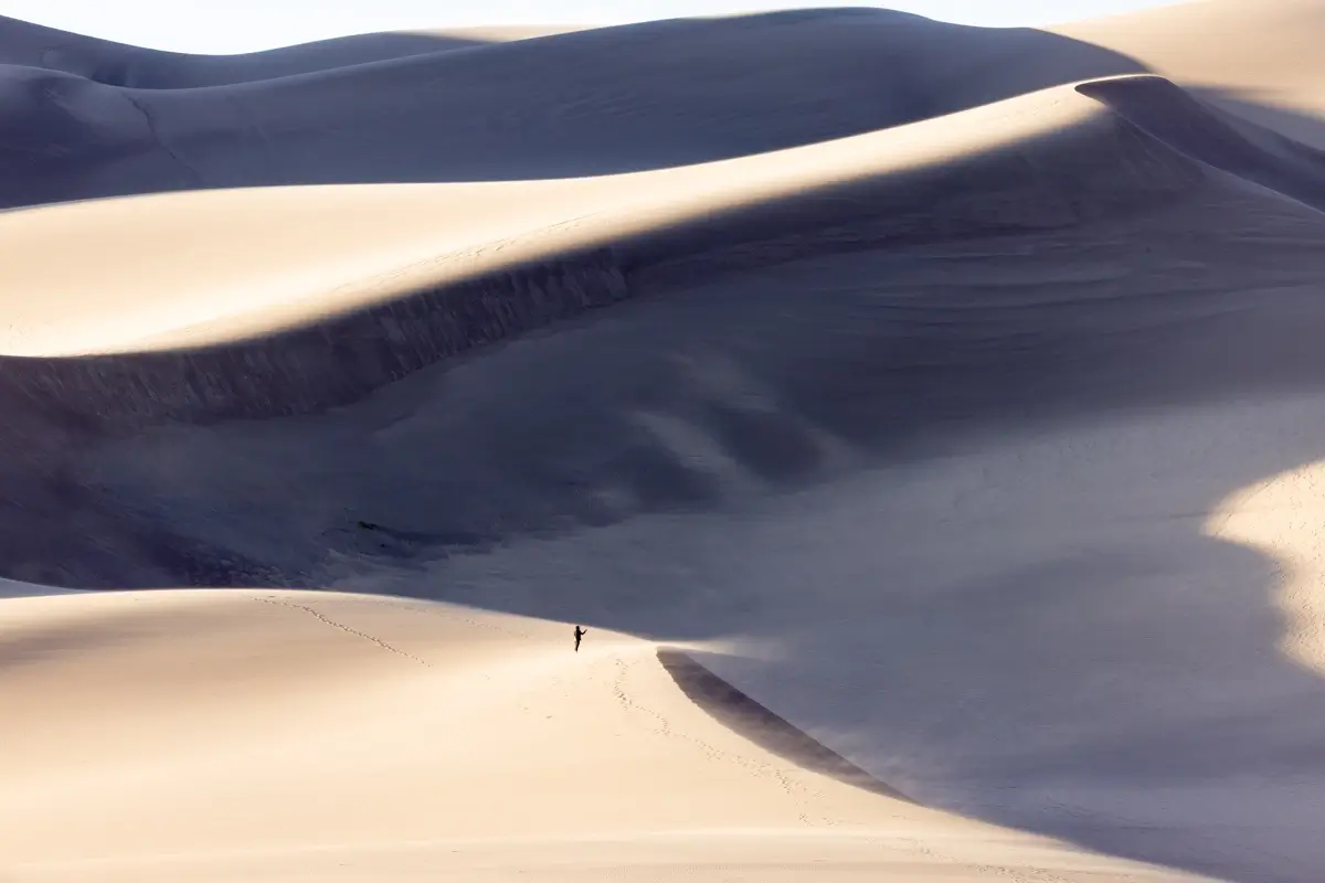 <p>&copy; Tracy Burke</p>