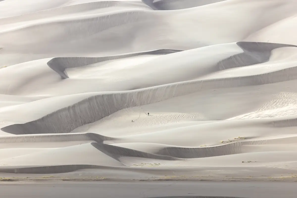 <p>&copy; Tracy Burke</p>