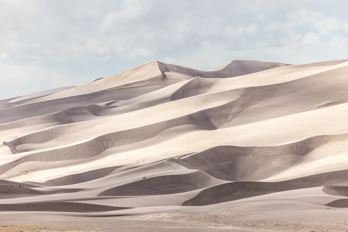 <p>&copy; Tracy Burke</p>