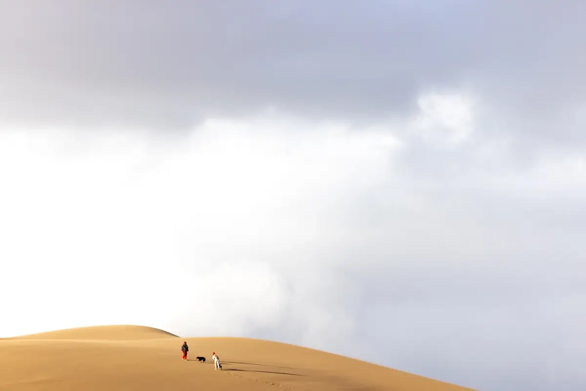 <p>&copy; Tracy Burke</p>