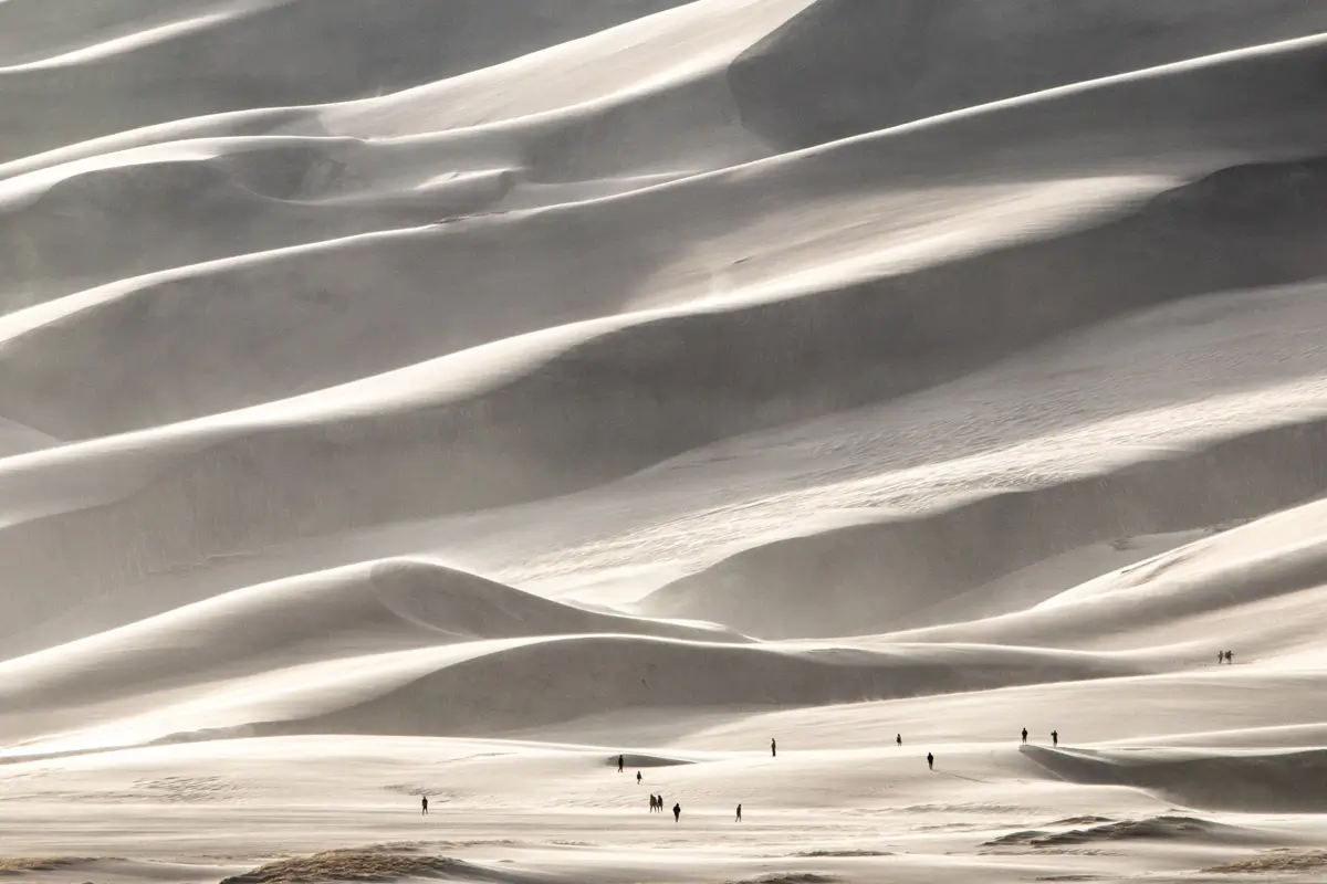 <p>&copy; Tracy Burke</p>