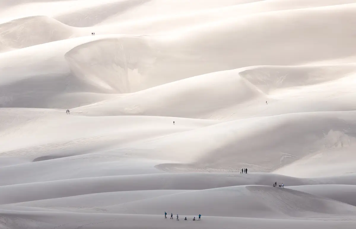 <p>&copy; Tracy Burke</p>