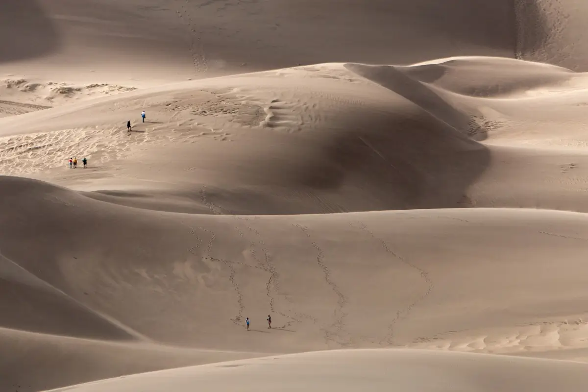 <p>&copy; Tracy Burke</p>