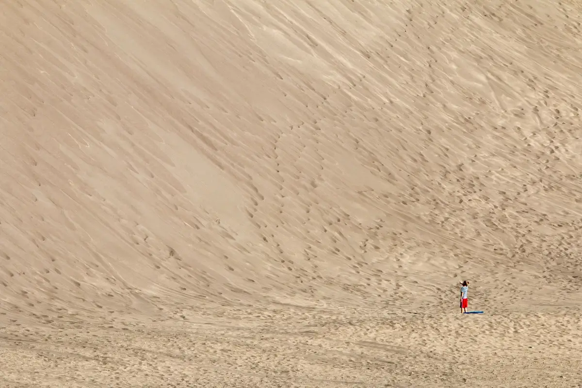 <p>&copy; Tracy Burke</p>