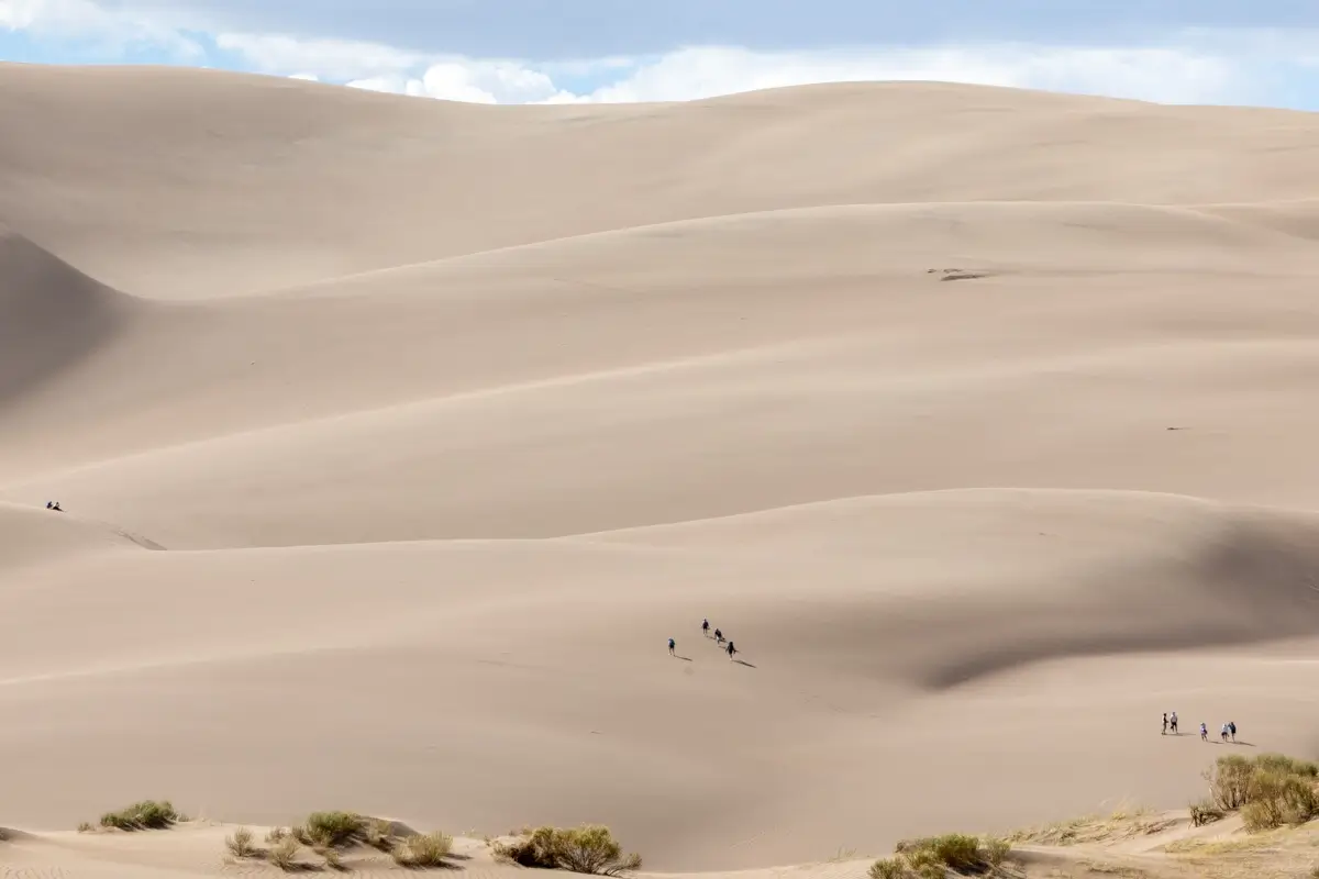 <p>&copy; Tracy Burke</p>