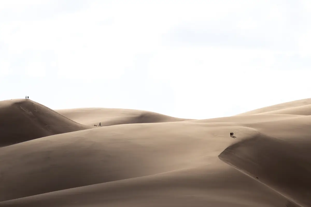 <p>&copy; Tracy Burke</p>