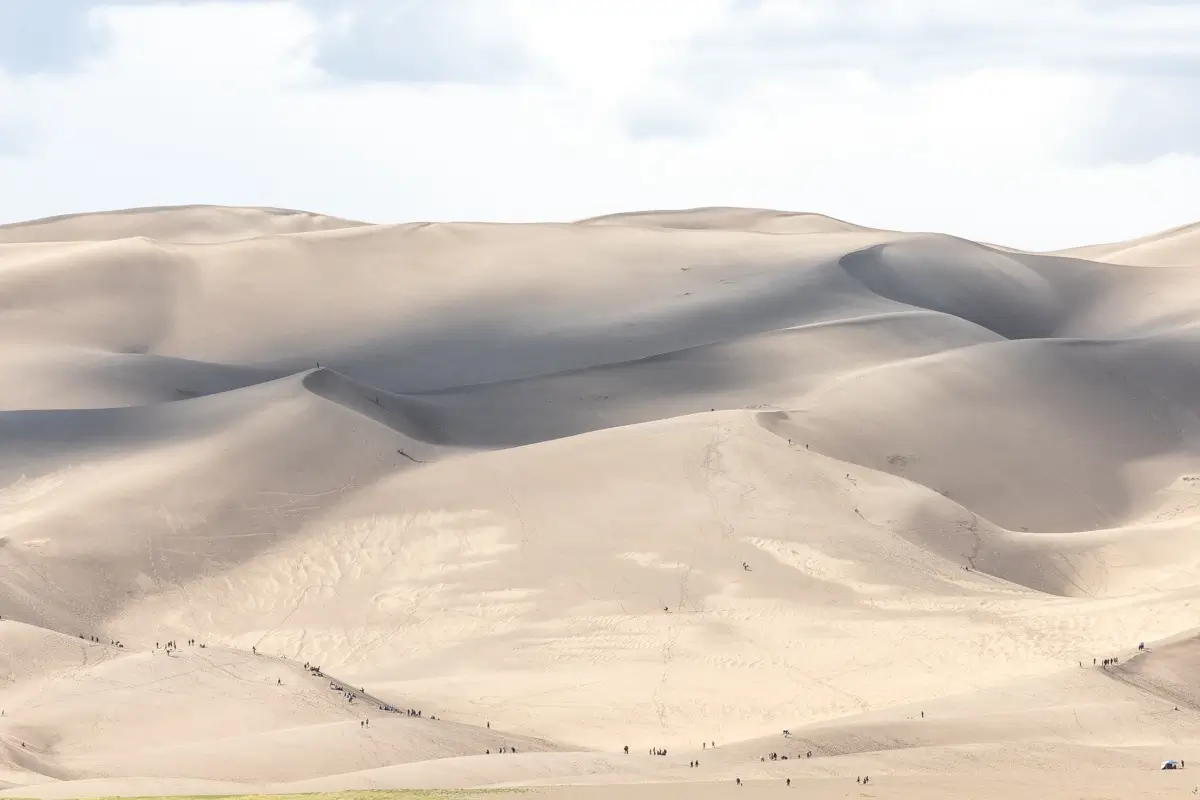 <p>&copy; Tracy Burke</p>