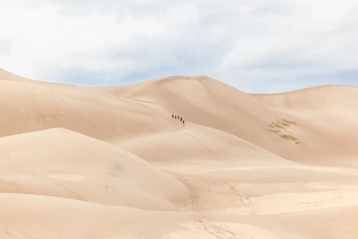 <p>&copy; Tracy Burke</p>