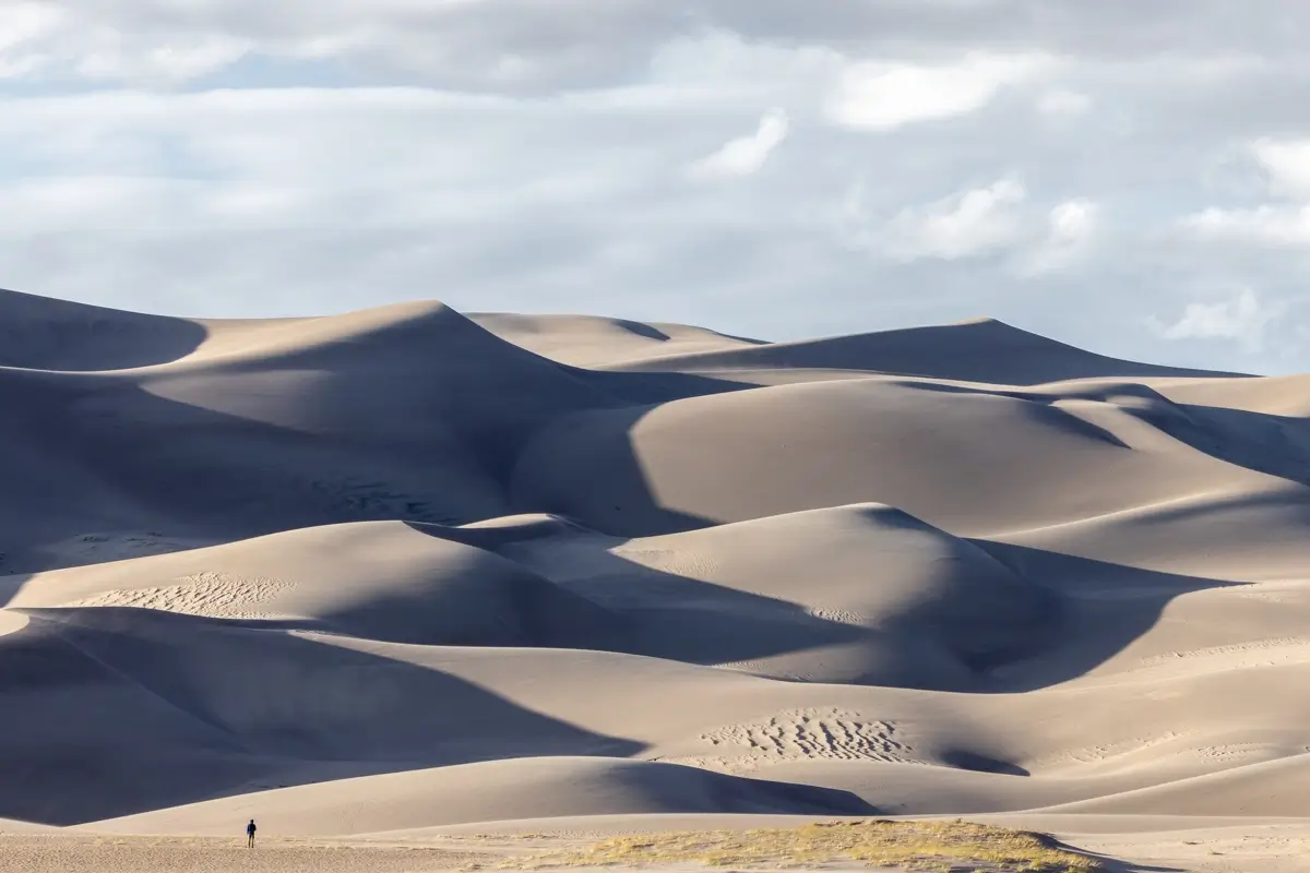 <p>&copy; Tracy Burke</p>