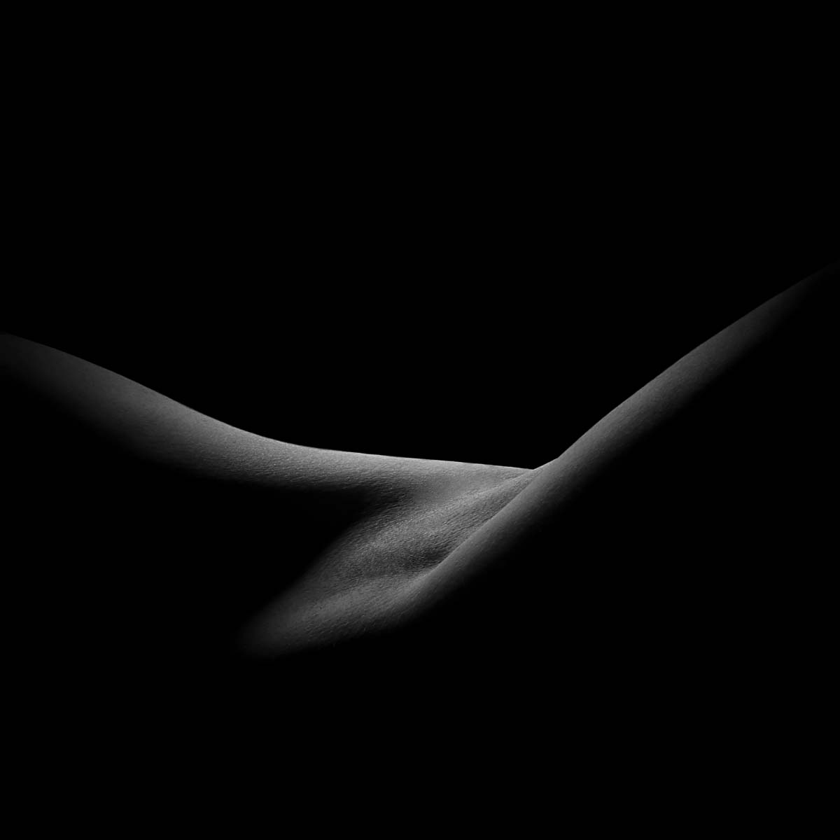 Darkside<p>© Xavier Blondeau</p>