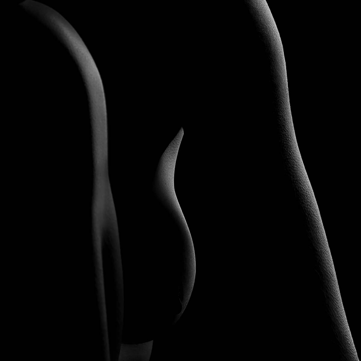 Darkside<p>© Xavier Blondeau</p>