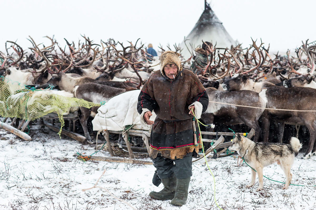 The Nenets<p>© Xueqi Bai</p>