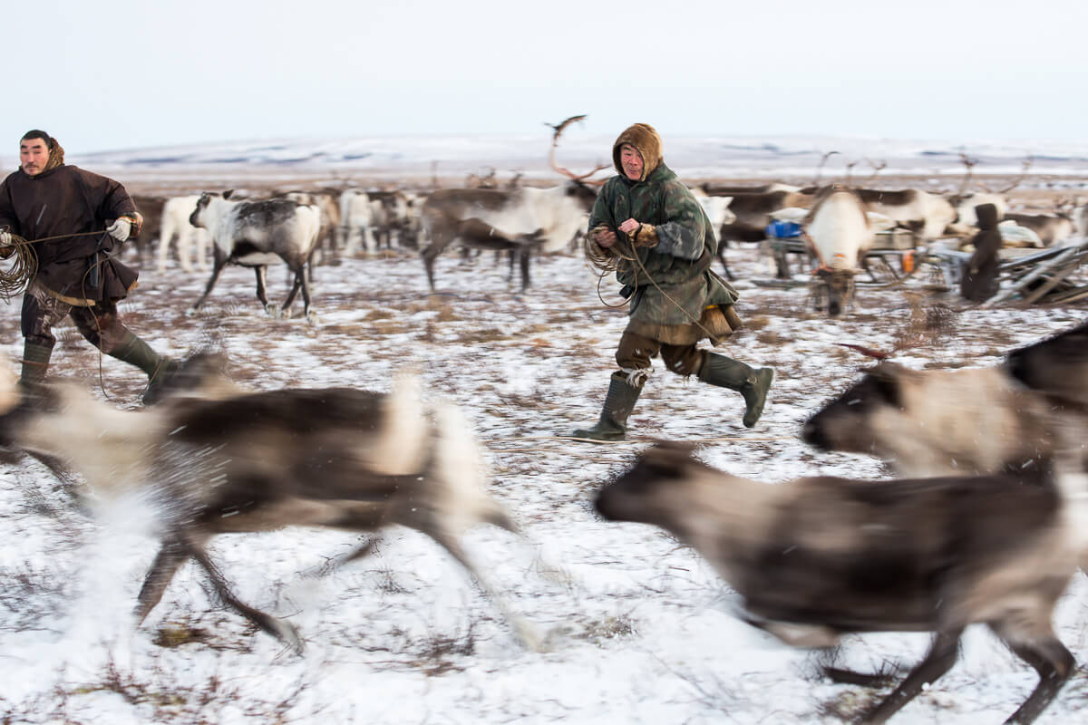 The Nenets<p>© Xueqi Bai</p>