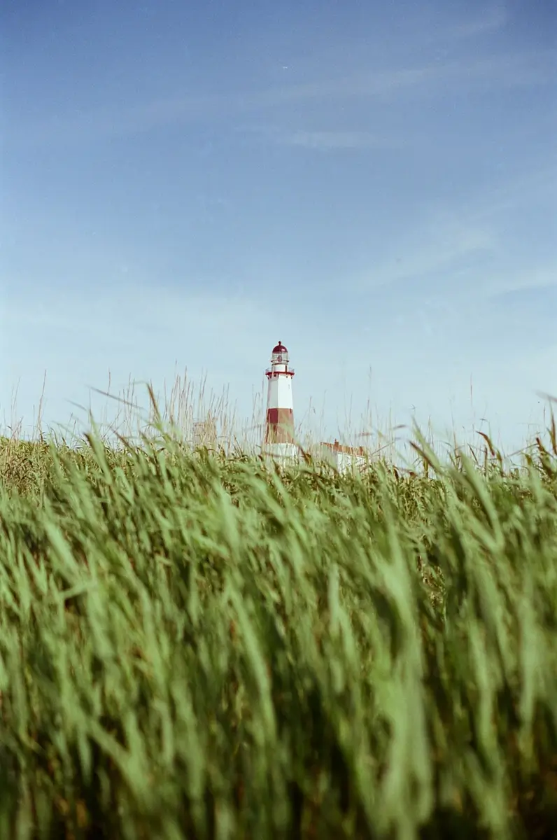 <p>&copy; Archie Cludven</p>