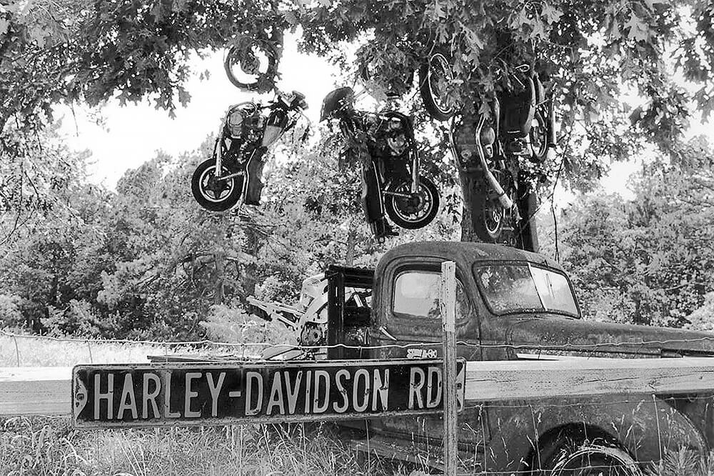 HARLEY-DAVIDSON RD<p>© Beverly  Conley</p>