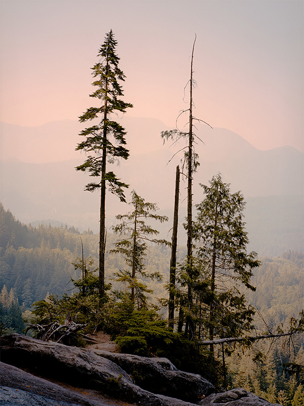 Overlook, 2018 From the series ”Cascadia”<p>© Cody Cobb</p>