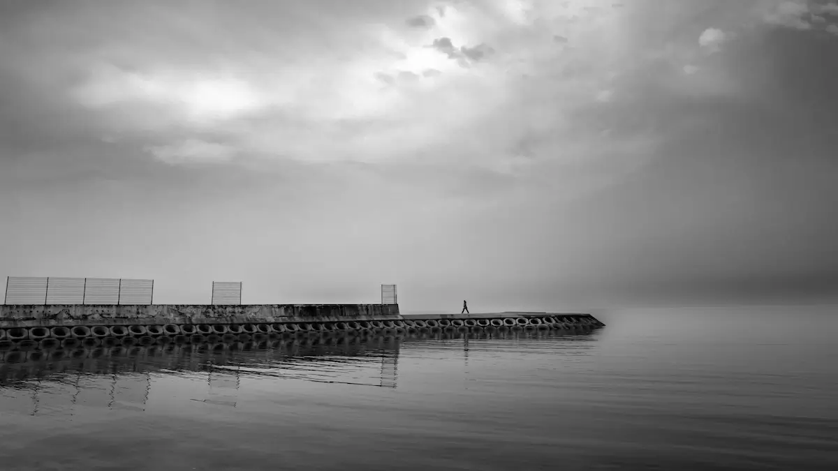 <p>© Erhan Coral</p>