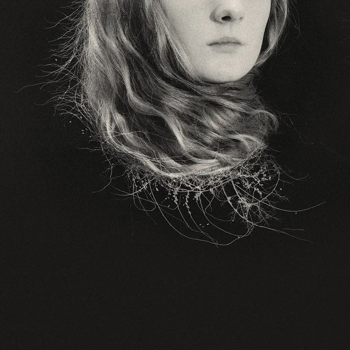 <p>© Eva Chupikova</p>