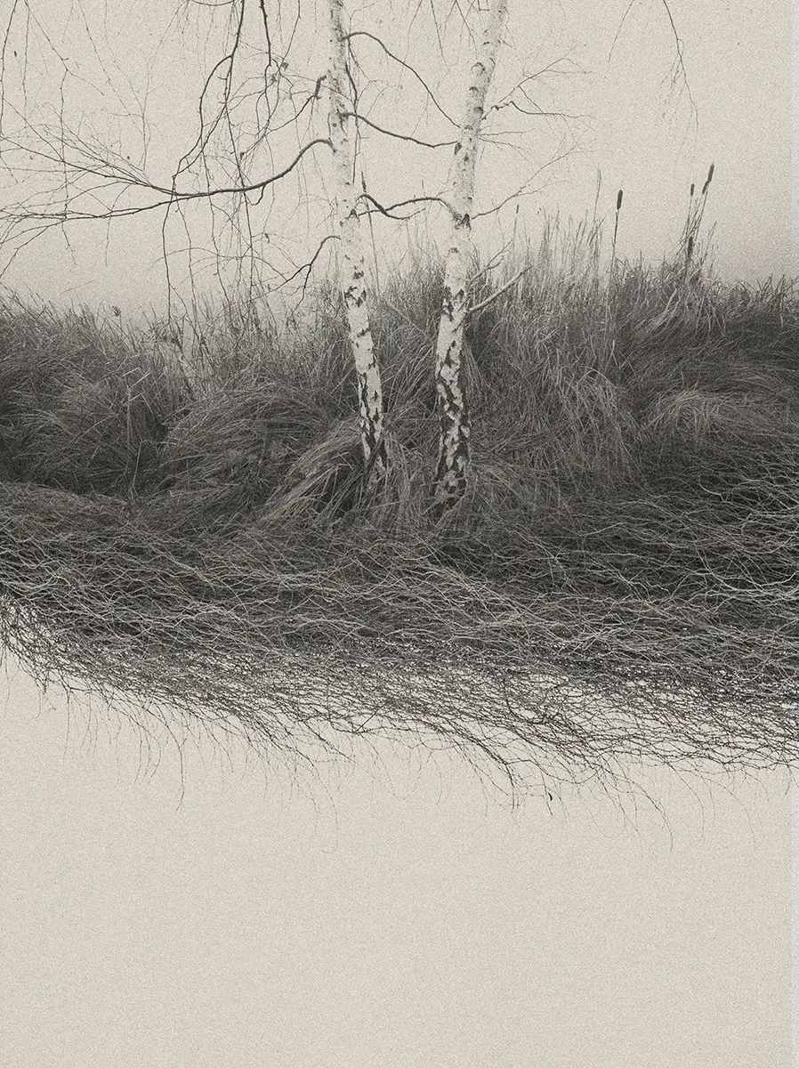 <p>© Eva Chupikova</p>