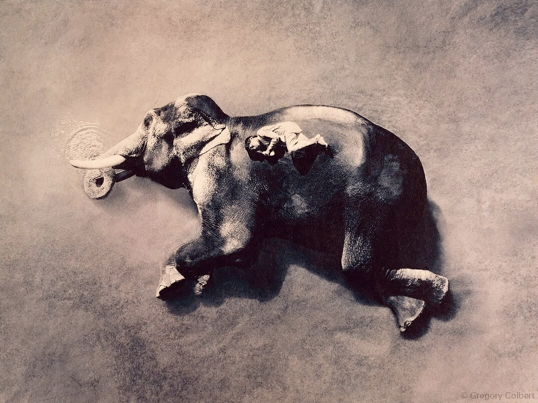 <p>© Gregory Colbert</p>