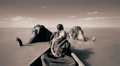 <p>© Gregory Colbert</p>