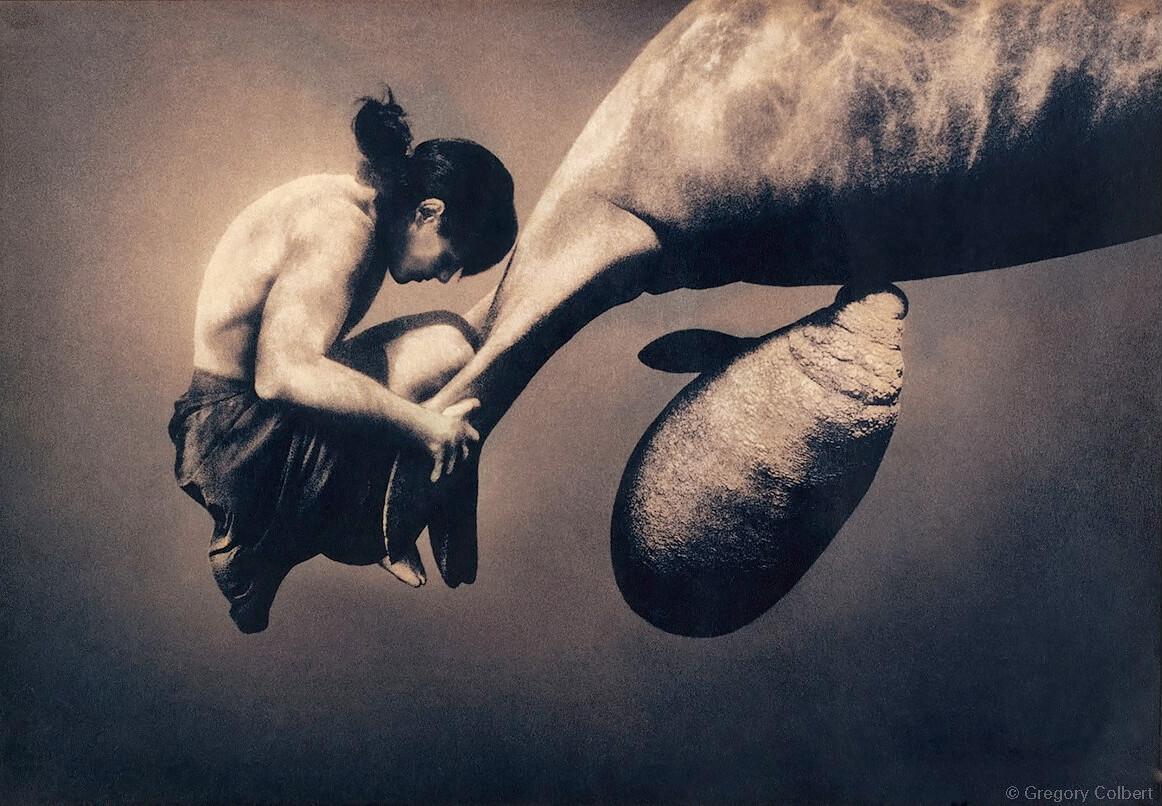 <p>© Gregory Colbert</p>