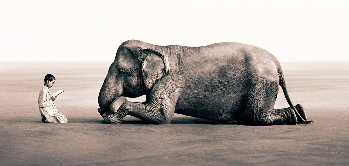 <p>© Gregory Colbert</p>