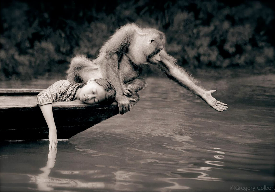 <p>© Gregory Colbert</p>