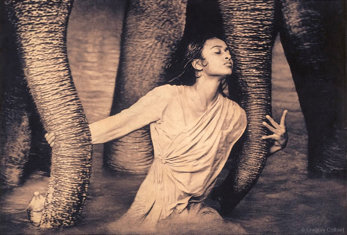 <p>© Gregory Colbert</p>