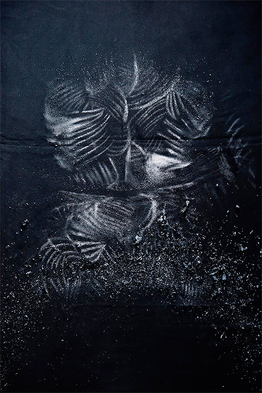 Ninahaus 2014<p>© Isabelle Chapuis</p>
