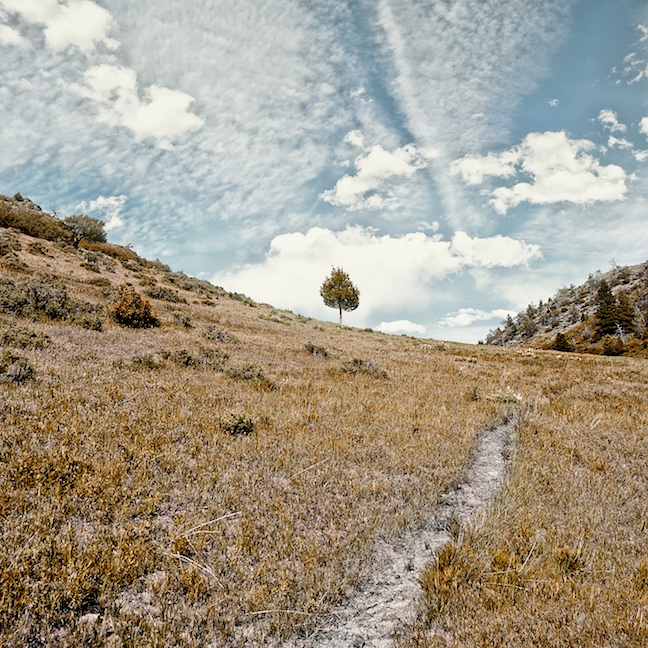 Mission Creek Montana<p>© Jeff Corwin</p>