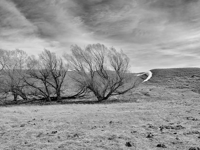 Dillon Montana<p>© Jeff Corwin</p>