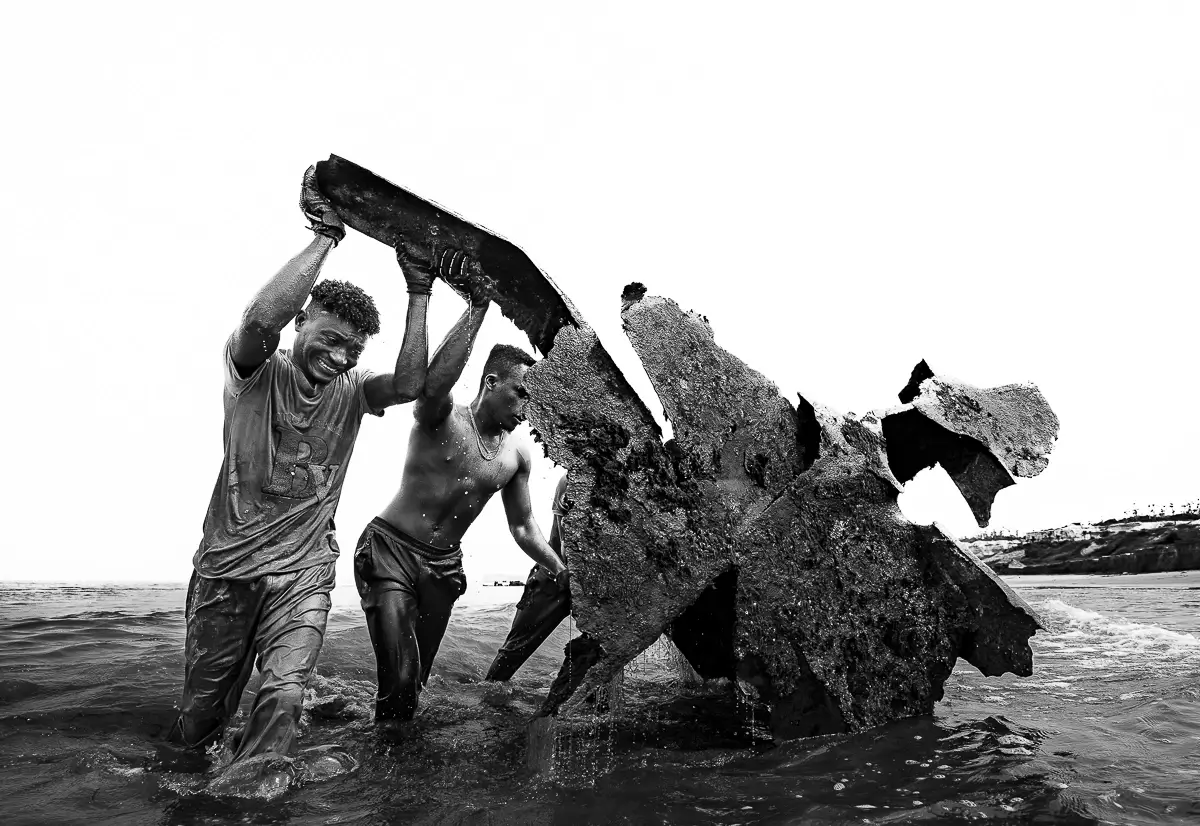 <p>© João Coelho</p>