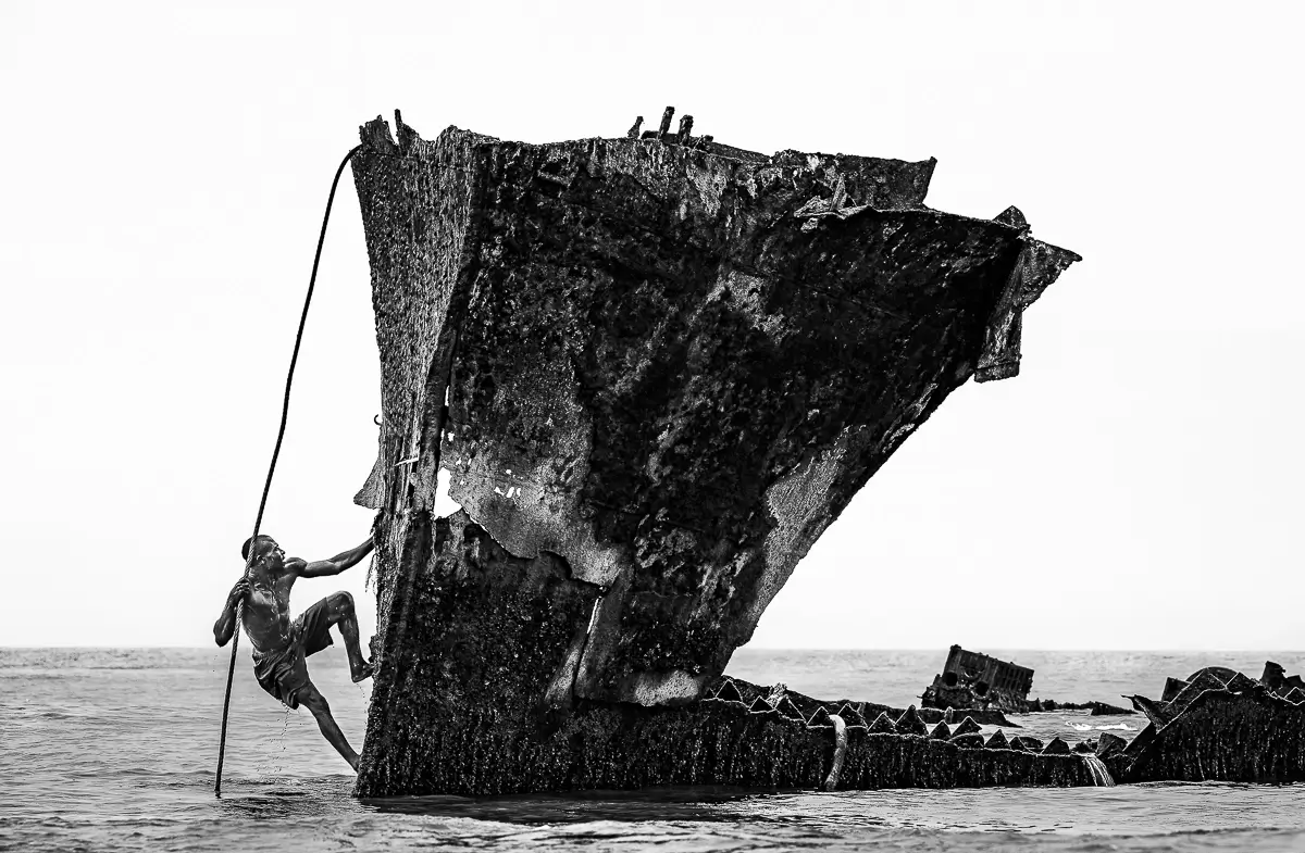 <p>© João Coelho</p>