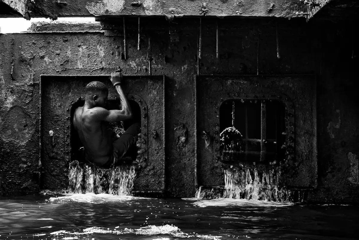 <p>© João Coelho</p>