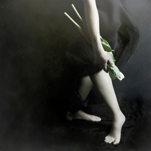 <p>© Josephine Cardin</p>