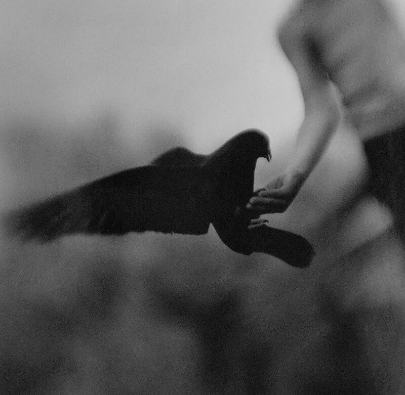 Keith Carter, Open Hard, 2004, Courtesy PDNB Gallery, Dallas, TX<p>© Keith Carter</p>