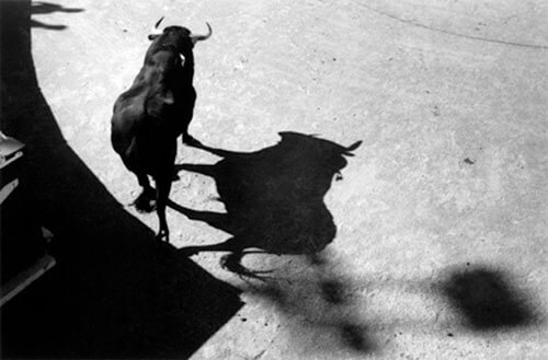 Le taureau des ombres Nîmes, 2009<p>Courtesy Trunk Archives / © Lucien Clergue</p>