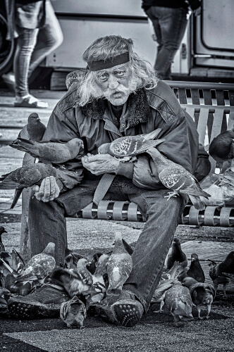 Man with Pigeons<p>© Mark Coggins</p>